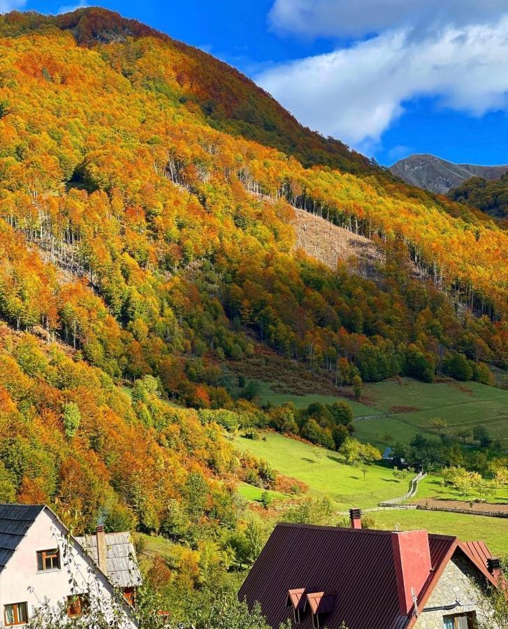 Guesthouse Alpini Lepushe Exterior photo